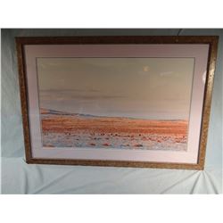 Sage Grouse photo, 21" x 34", framed