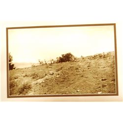Huffman, L. A. original collotype, A Band of Mountain Sheep At Timber Line, 9" x 14", framed