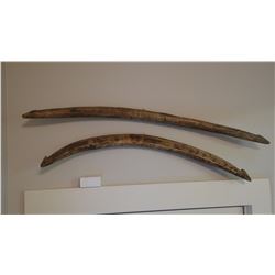 Wooden harpoons, 32" long