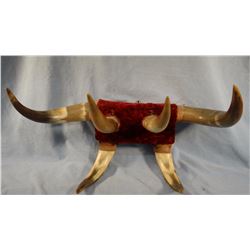 Steer horn hat rack, 22" w