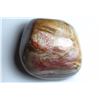 Image 2 : Natural Healing Colorful Petrified Wood 1025 Carats