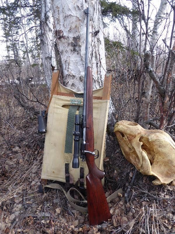 Springfield Hunting Rife 1903 Springfield Rifle