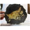 Image 1 : Beautiful Moss Agate Polished Slab