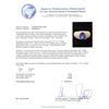 Image 5 : 2.77 ctw Tanzanite and Diamond Ring - 14KT White Gold