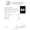 Image 3 : 0.71 ctw Diamond Earrings - 14KT White Gold