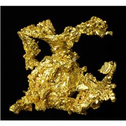 Gold Specimen from Michigan Bluff, California