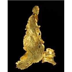 Gold Leaf Specimen from California