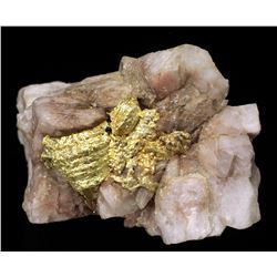 Wire Gold in Quartz from Venezuela
