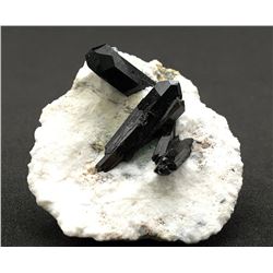 Neptunite from Benitoite Gem Mine, San Benito County, California