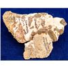 Image 1 : Esmeralda Mine Specimens