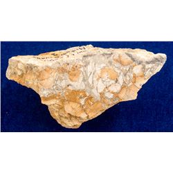 Gold Crown Mine Specimen