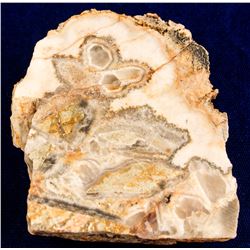 June Bell Mine Gold Specimen, Midas, Nevada