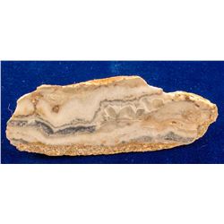 Miners Gold Mine Specimen, Midas, Nevada