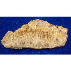 Argenta Mine Gold Specimen, Tuscarora, Nevada