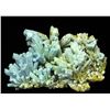 Image 1 : Plumbogummite ps. after Pyromorphite from Yangshuo Mine, China