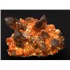 Image 1 : Spessartine and Quartz v. Smoky from China