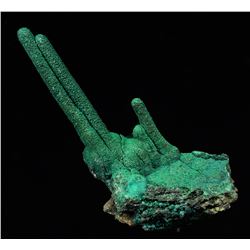 Malachite from Mashanba West Mine, Democratic Republic of Congo