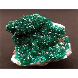 Dioptase and Shattuckite from Namibia