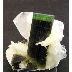 Elbaite and Albite, Quartz from Pakistan