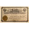 Image 1 : Greenwater Bimetallic Copper Mining Co. Stock, Death Valley 1906