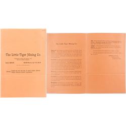 Little Tiger Mining Company Prospectus