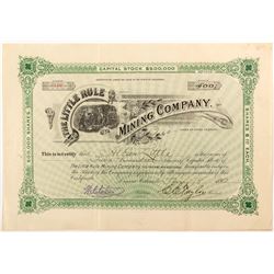 Little Rule Mining Company Stock Certificate