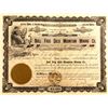 Image 1 : Bull Frog Gold Mountain Mining Stock, Bullfrog, Nevada 1906