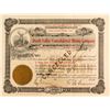 Image 1 : Death Valley Consolidated Mining Company Stock Certificate