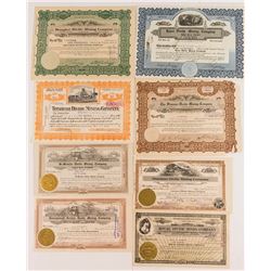 Tonopah Divide Mining Stock Group (8)