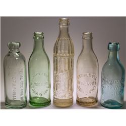 Five Different Nevada City Sodas