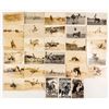 Image 1 : Amazing Group of 25 RPC Rodeo Postcards with Rider and Bucking Horse Named