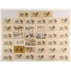 Image 1 : Cowboy Postcard Collection - Sketches