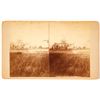Image 1 : Buffalo Bill Stereoview