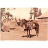 Image 1 : Cabinet Card of a Cowboy and Horse