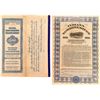 Image 1 : Indiana Northwestern Traction Company Bond (1910)