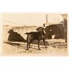 Image 1 : "Nig" the Boulder Dam Mascot Real Photo Postcard