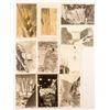 Image 1 : Ten Real Photo Postcards of the Building of Boulder Dam