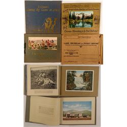 3 Different Travel Booklets