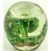 Image 1 : White and Green Flower Paperweight