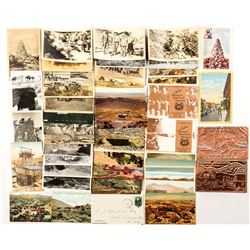 Arizona Postcard Collection with 1 RPC (49)