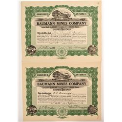 Two Baumann Mines Company Stock Certificates