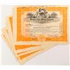 Image 1 : Western Apex Mining Company Stock Certificates (14)