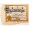 Image 1 : Yosemite Copper Company Stock Certificates