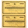 Image 1 : Pair of Brunswick Gold Mining Company Stock Certificates