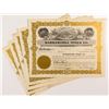 Image 1 : Barbarossa Mines Co. Stock Certificates (7)