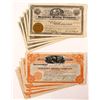 Image 1 : Newtown Mining Company Stock Certificates (13)