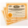 Image 1 : Trinity Dredging Company Stock Certificates (3)