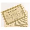 Image 1 : Candelaria Mines Company Stock Certificates (7)