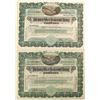 Image 1 : Pittsburg Silver Peak Gold Mining Stock Certificates