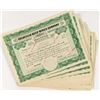 Image 1 : Goldfield Deep Mines Stock Certificates (29)
